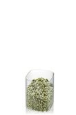 Gefu Pantry 900 ml glass container G-12802