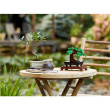 LEGO | Bonsai Tree (10281)