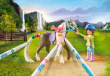 Playmobil Figures set Horses 71640 Washable Horse Set
