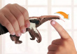 Playmobil Figures set Wiltopia 71012 Anteater Care