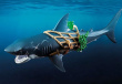 Playmobil Giant Shark with Pirate
