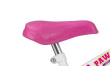 CROSS-COUNTRY BICYCLE 10