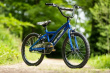 HUFFY PRO THUNDER 20