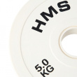 Olympic Bumper Plates 2x5kg Белый HMS CBRS50