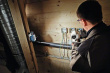 Bosch GLI DeciLED Professional Blue, Grey LED