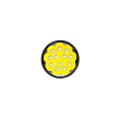 AceBeam X75 70.2 6500K Must Flashlight
