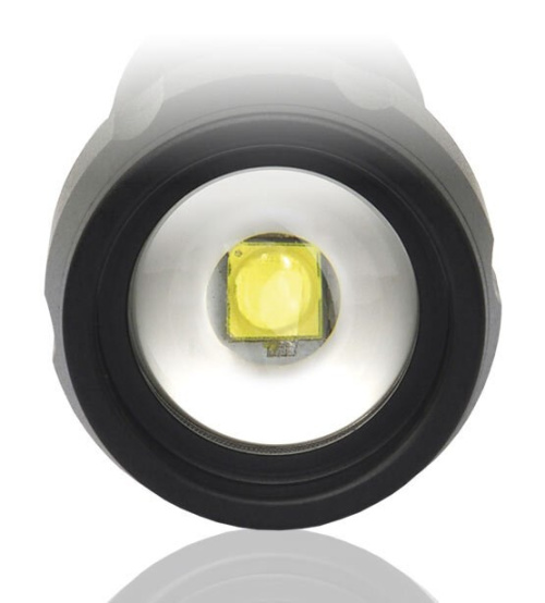 LED flashlight  everActive FL-300+
