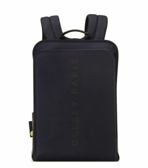 DELSEY 2-CPT LAPTOP Backpack 15.6