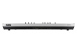 Korg OPSIX SE Platinium Limited Edition - digital synthesizer