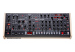 Sequential Trigon 6 Desktop - polyphonic analogue synthesiser