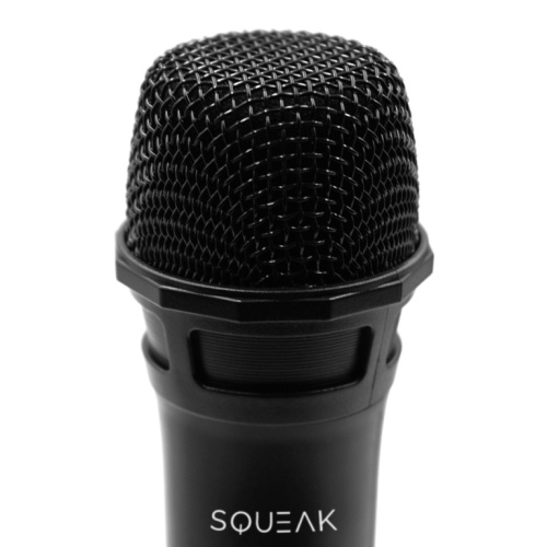 KARAOKE MICROPHONES SET VOCALDUO 2,4G SQ1007