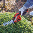 Einhell GC-CG 3,6/70 Li cordless grass shear 7 cm 3.6 V Lithium-Ion (Li-Ion) Aluminium, Black, Red