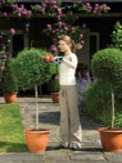 Must & Decker GSL300 power hedge trimmer Double blade 600 g