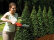 Must & Decker GSL300 power hedge trimmer Double blade 600 g