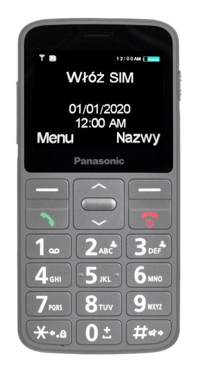 Mobile phone PANASONIC PANASONIC KX-TU160EXG Gray