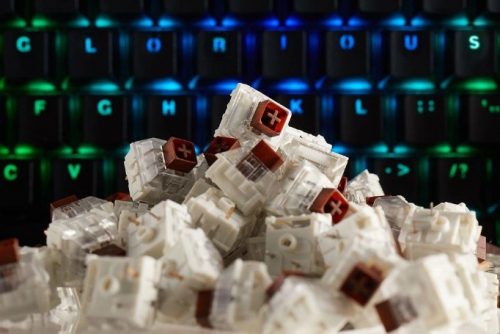 Glorious Kailh Box Brown Switches (120 pieces)