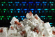 Glorious PC Gaming Race Kailh Speed Bronze Switches
