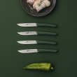 Berkel Steakmesser-Set 4-tlg. Color verde