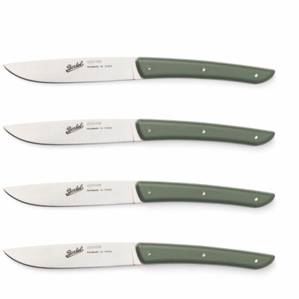 Berkel Steakmesser-Set 4-tlg. Color verde