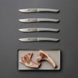 Berkel Steakmesser-Set 4-tlg. Color grigio