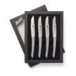 Berkel Steakmesser-Set 4-tlg. Color grigio