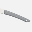 Berkel Steakmesser-Set 4-tlg. Color grigio