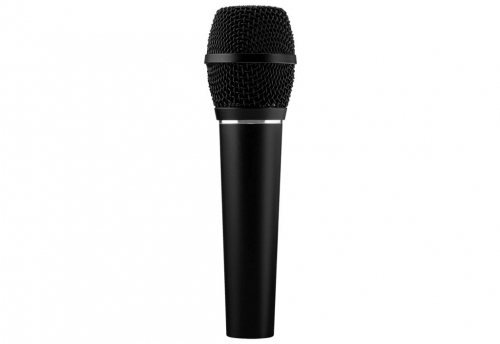 Earthworks SR117 Microphone Black Stage/performance Microphone