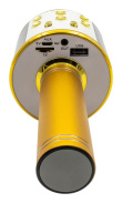 Denver KMS-20GOMK2 Mikrofon Gold Karaoke Mikrofon