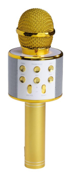 Denver KMS-20GOMK2 Mikrofon Gold Karaoke Mikrofon