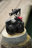 RØDE VideoMicro Black Digital camera Mikrofon