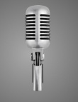 Shure 55SH Grey Studio Mikrofon