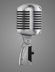 Shure 55SH Grey Studio Mikrofon