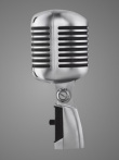 Shure 55SH Grey Studio Mikrofon