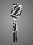 Shure 55SH Grey Studio Mikrofon