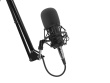 GENESIS Radium 300 XLR Черный Studio Microphone