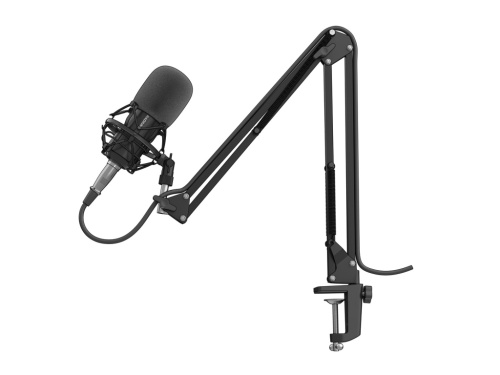 GENESIS Radium 300 XLR Черный Studio Microphone