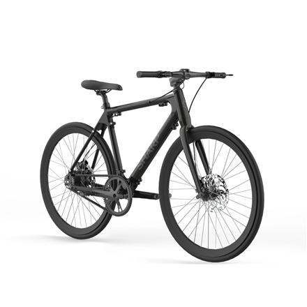 Sharp Hybrid E-Bike | 250 W | 21 