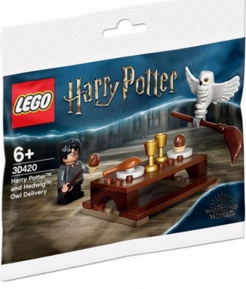 LEGO Bricks Harry Potter and Hedwig Owl delivery