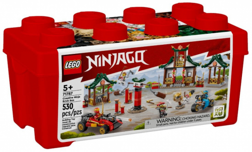 LEGO NINJAGO 71787 CREATIVE NINJA BRICK BOX