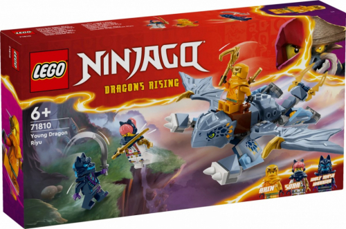 LEGO LEGO Ninjago 71810 Young Dragon Riyu