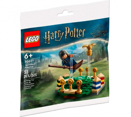 LEGO Quidditch Practice