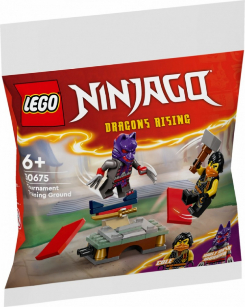 LEGO Bricks Ninjago 30675 Tournament Training Ground