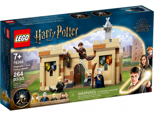 LEGO HARRY POTTER 76395 HOGWARTS: FIRST FLYING LESSON