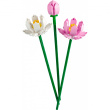 LEGO Botanical Collection Lotusblumen