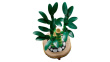LEGO ICONS 10344 The Botanical Collection - Lucky Bamboo