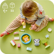 LEGO Duplo - Mein erstes Hündchen & Kätzchen