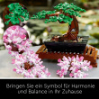 LEGO Creator Expert Bonsai Baum