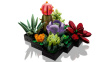LEGO ICONS 10309 SUCCULENTS