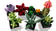 LEGO ICONS 10309 SUCCULENTS