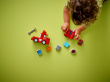 LEGO LEGO DUPLO Disney 10417 Mack at the Race